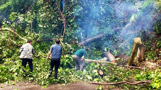 张家界武陵源：积极应对强降雨天气 全面筑牢防汛“安全网”