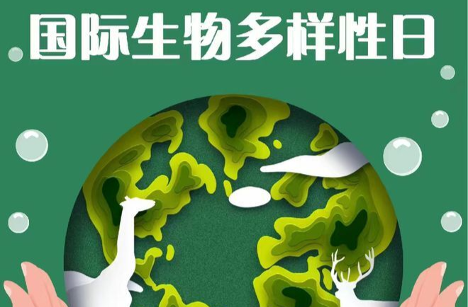 衡南县林业局开展“5·22国际生物多样性日”主题宣传活动