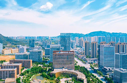 大象与蚂蚁“共舞”启示录