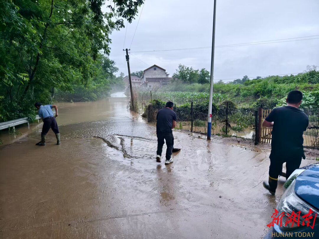 暴雨过后，桃源人在忙什么