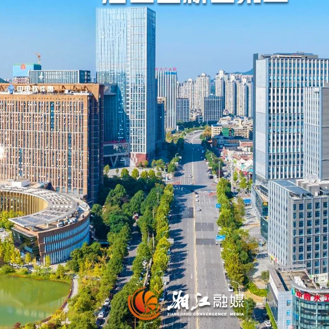 从数据里读懂新区十年！