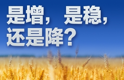 习近平的民生之问｜“是增，是稳，还是降？”