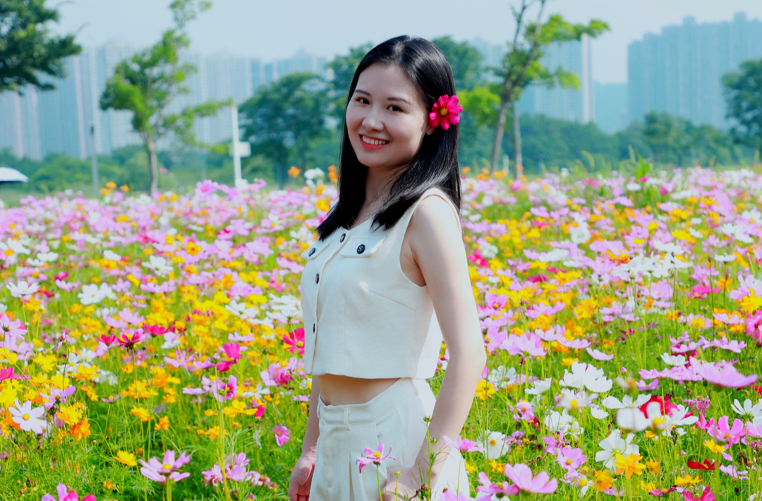 情系格桑花