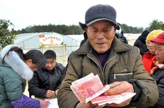 老乡请注意！中央财政支持，这些方面有补助→