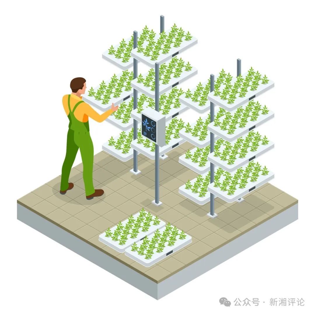 等距現(xiàn)代智能工業(yè)溫室.jpg