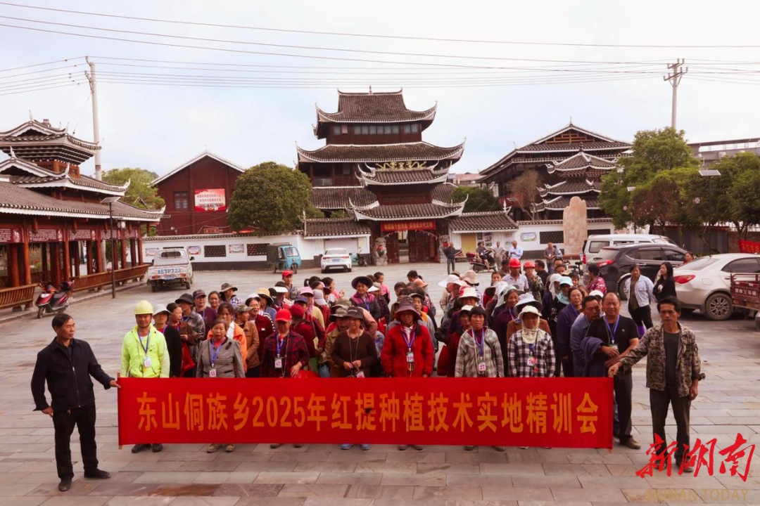 绥宁东山乡开展红提培训与疏果比赛 助力产业提质增效