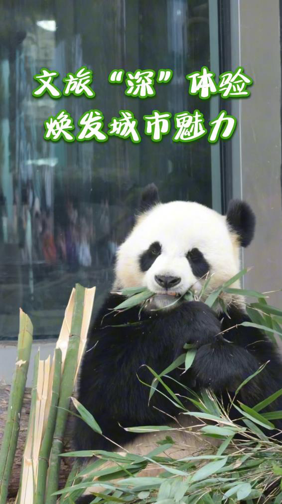 “旅发大会”视评④丨文旅“深”体验，焕发城市魅力