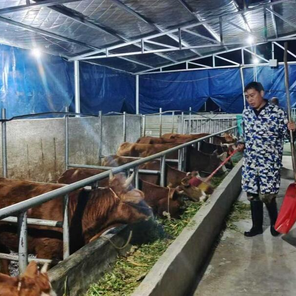 扎根乡土践初心  实干担当结硕果