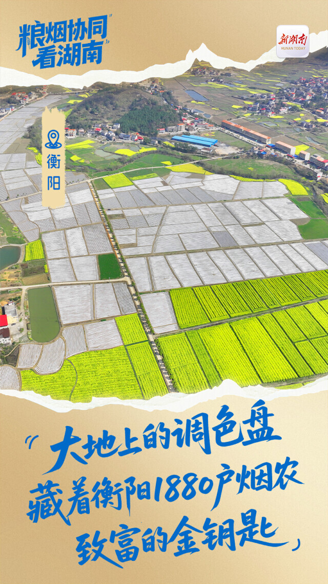粮烟协同看湖南丨衡阳：乡村产业发展“三大招式”