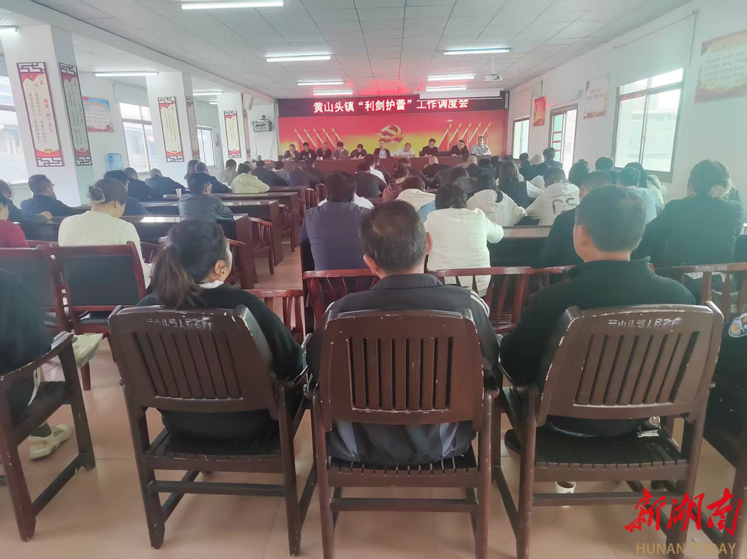 安乡县黄山头镇：多措并举护卫青少年成长
