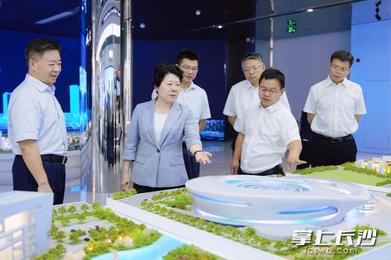 吴桂英在望城区调研大泽湖片区建设、文科旅医融合发展等工作