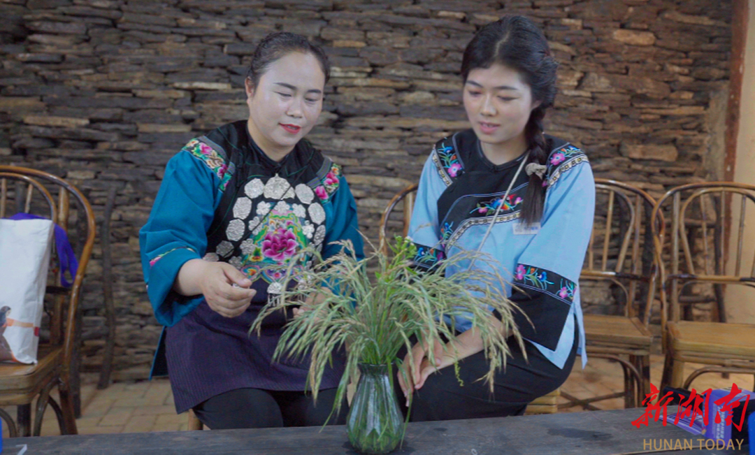 大山里的“木兰花”