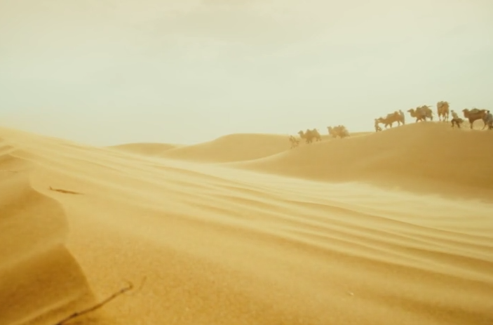 时政微视频丨习近平与世界遗产：敦煌情缘