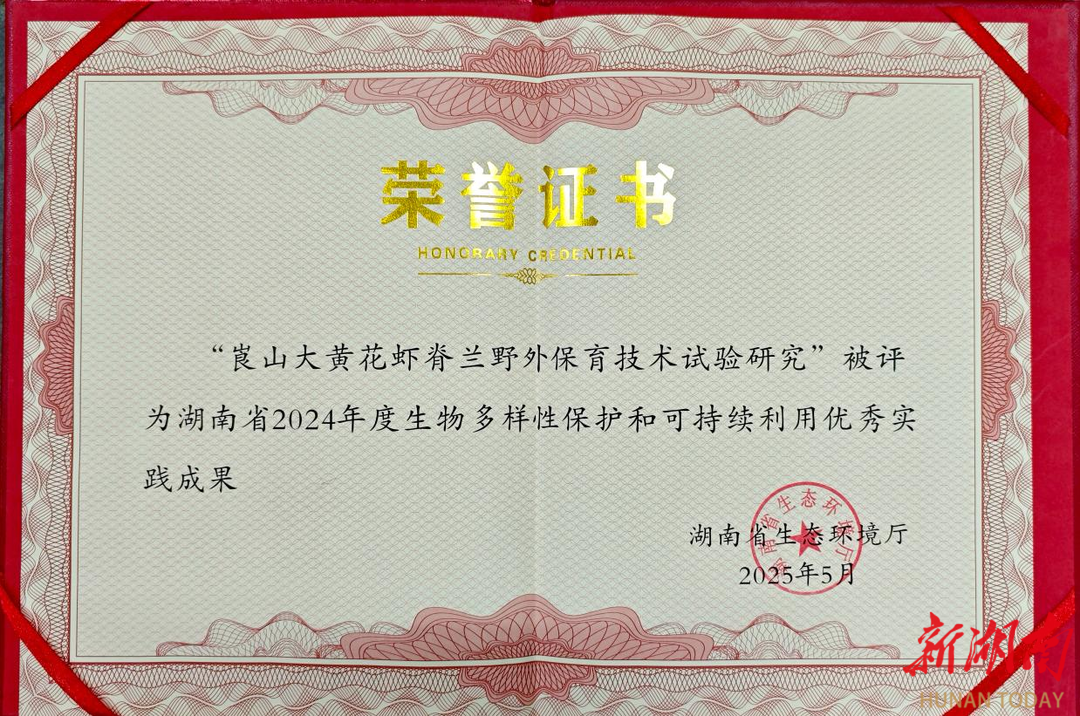 从濒危到绽放！崀山600株“国宝兰”获省级生物保护嘉奖