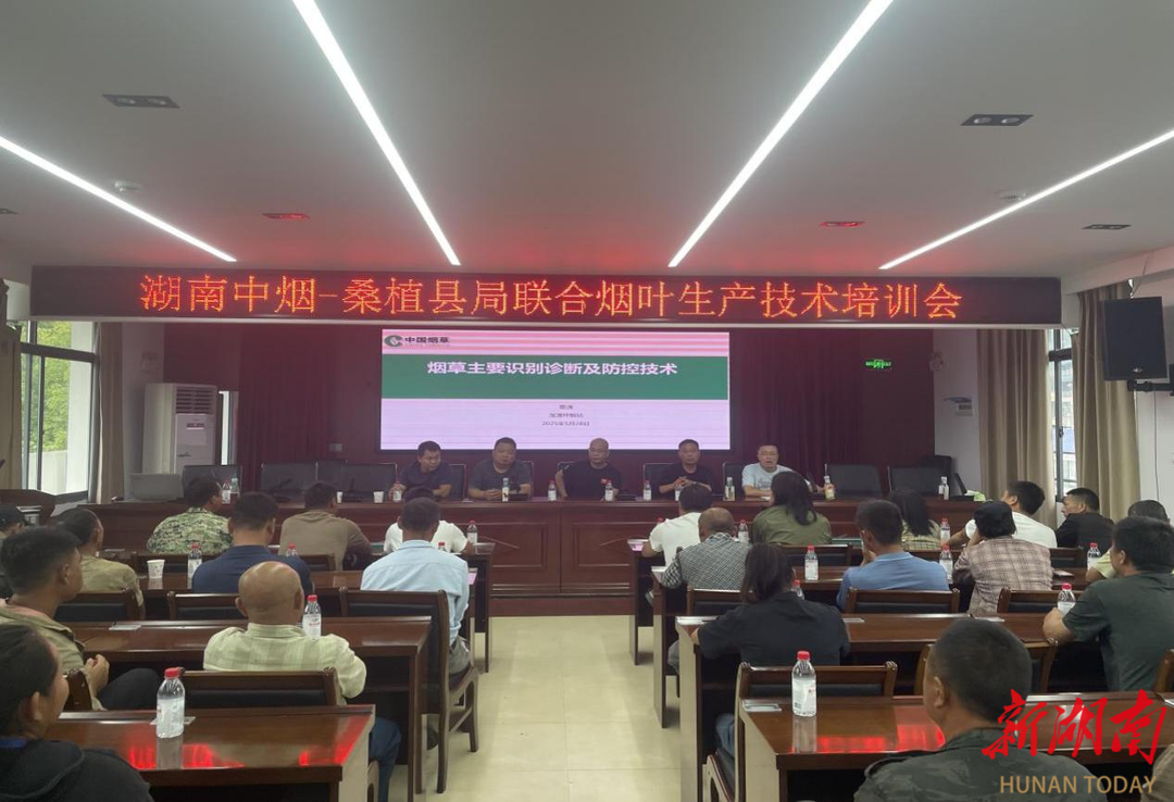 湖南中烟携手桑植县桥自弯镇举办烟叶生产技术培训