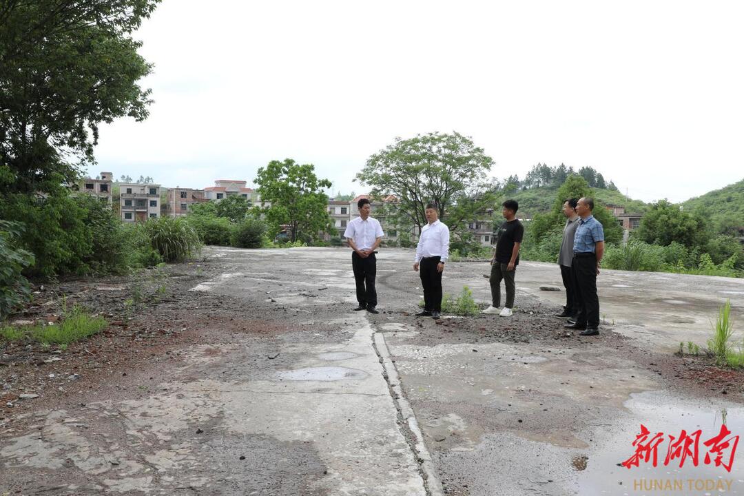新田新圩镇：环境整治显成效 绿色发展谱新篇