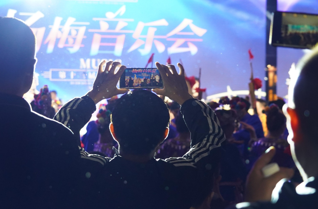图集｜第十三届靖州杨梅节杨梅音乐会精彩瞬间