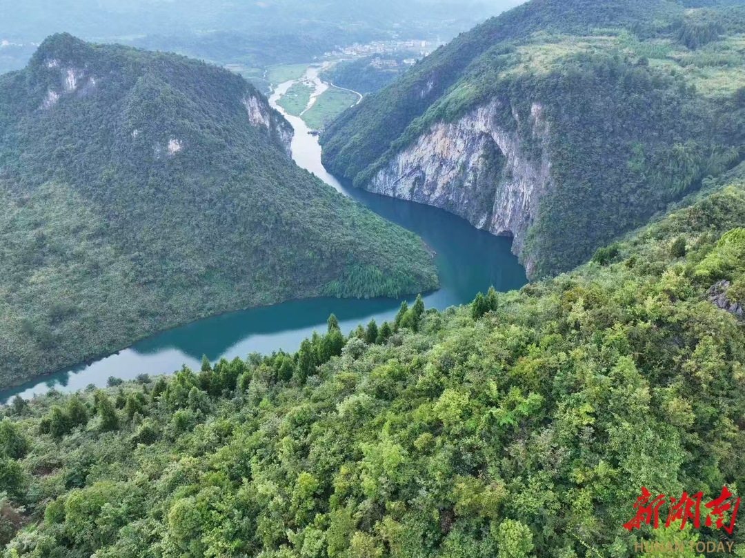 美文欣赏丨绿水青山冲天溪