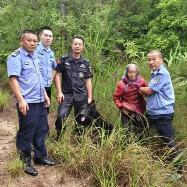 警犬“尖刀”真帅！雨中4小时寻回89岁老人