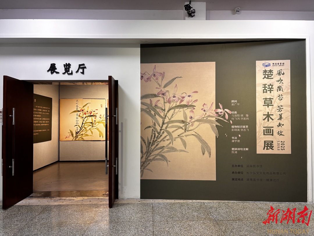 端午有湘味⑩｜屈原笔下的香草美人长什么样？
