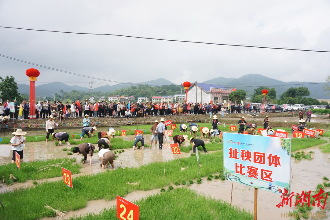 唱响田间“欢乐颂”！湘潭县排头乡第五届趣味农事劳动竞赛开赛