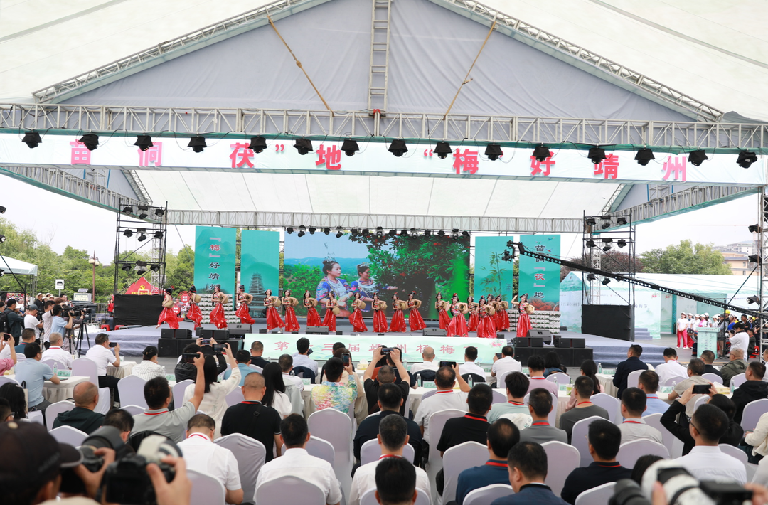 共赴这场“梅”好之约，2025年第十三届靖州杨梅节开幕