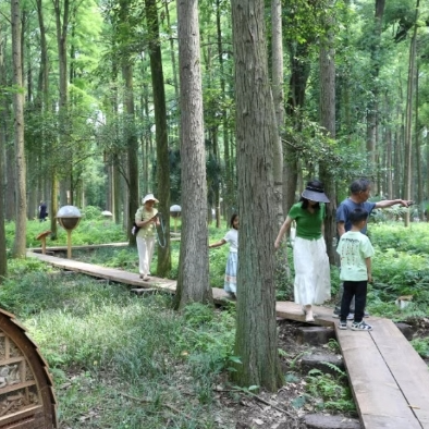 【第四届湖南旅游发展大会】君山鸟语林：百鸟齐鸣迎盛会 生态画卷展新篇