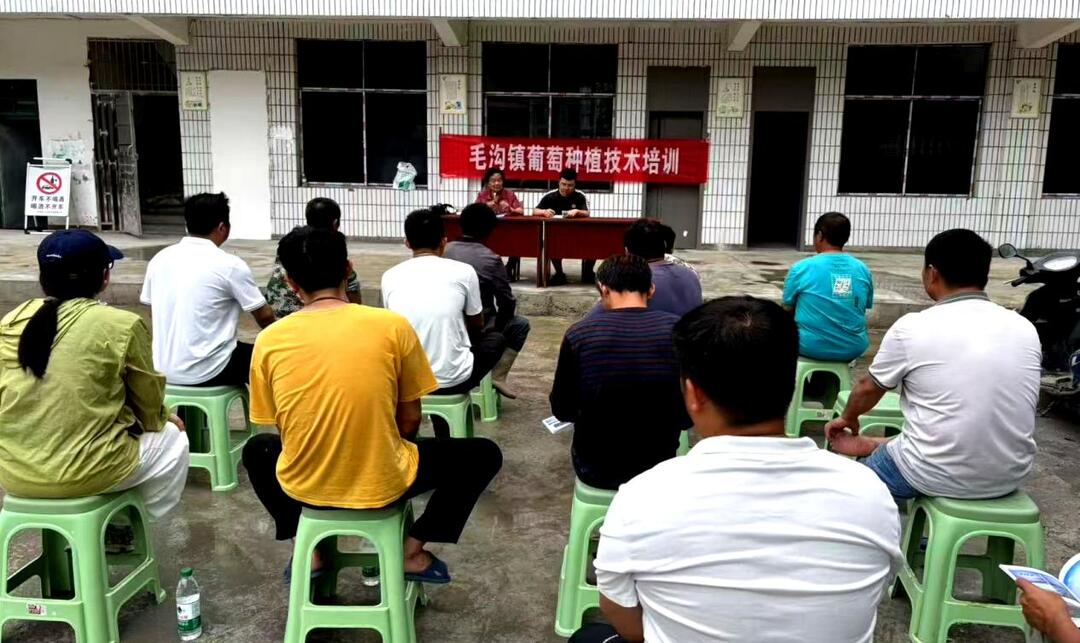 银发力量①丨老专家的新作为——万名退休科技工作者湘西田间工厂释放智慧力量