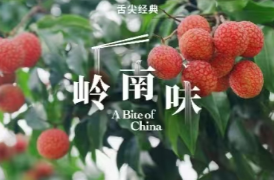 假日·悦读丨龙舟上的岭南味：解锁“扒龙舟”背后的美食盛宴