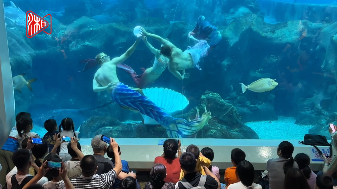 端午假日共赴海底奇妙之旅