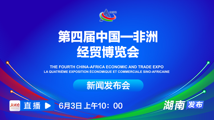视频回顾丨第四届中国—非洲经贸博览会新闻发布会