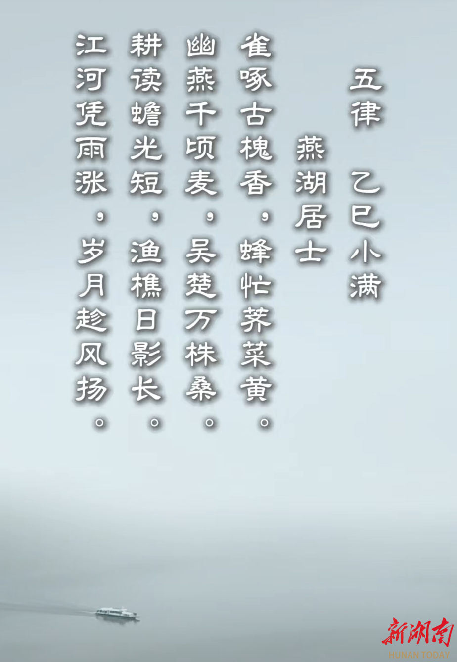 ［红尘小笺］五律 乙巳小满