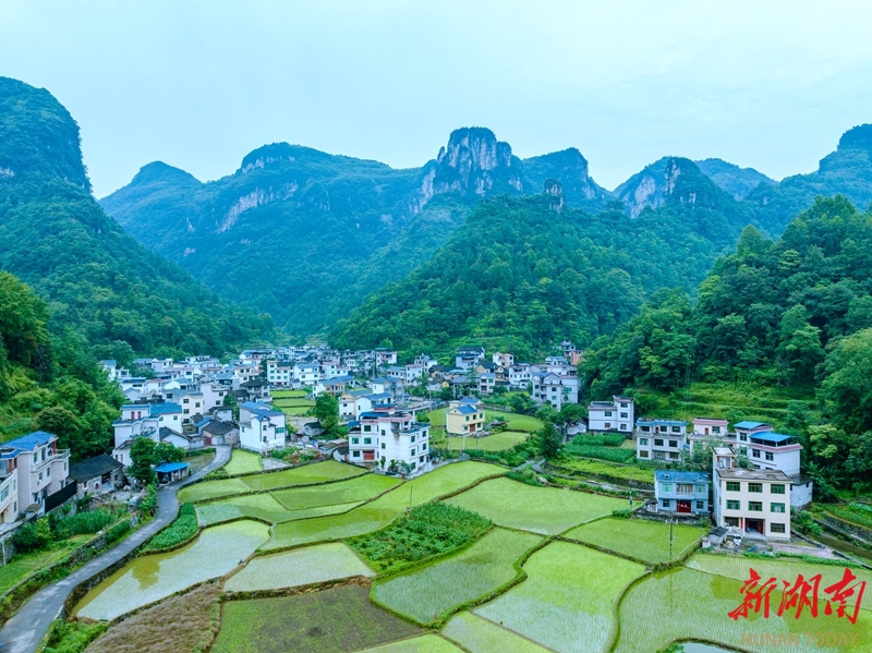 山乡绿意浓