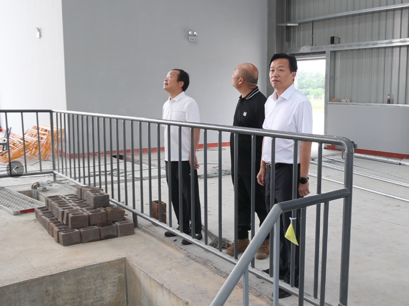 周鹏调研塔市驿码头物流园建设情况