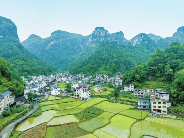 图片新闻@湖南日报
