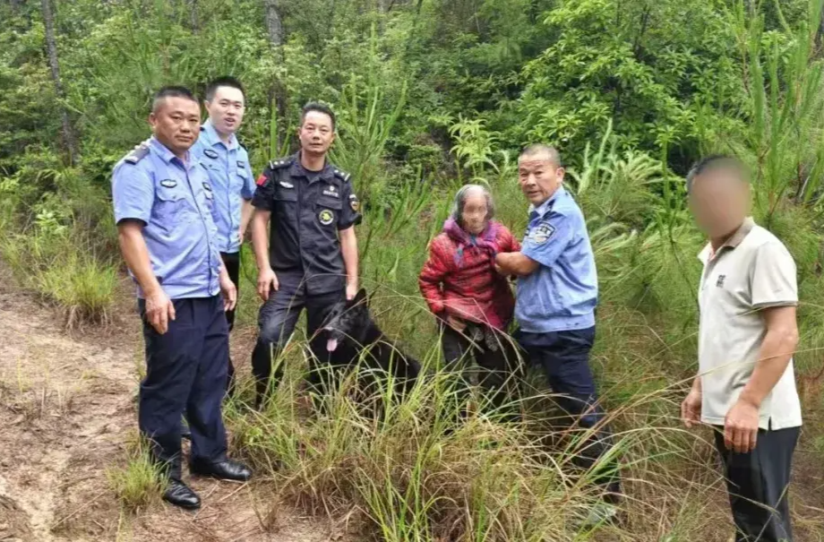 警犬“尖刀”真帅！雨中4小时寻回89岁老人 