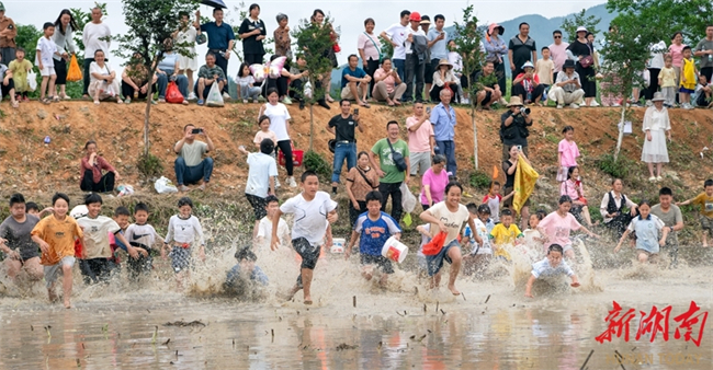 Celebrating Children's Day: Fun in the Paddy Fields