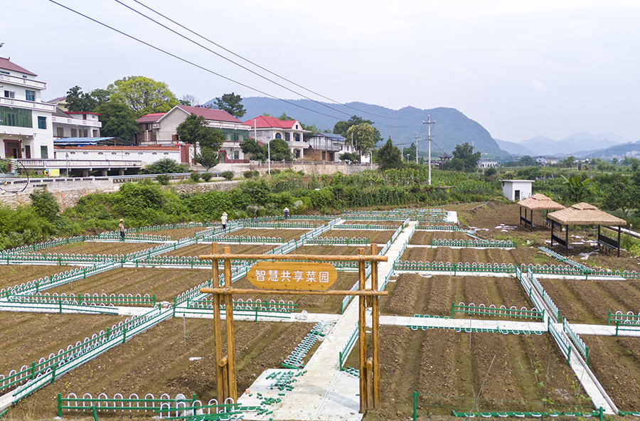 打造智慧共享菜园