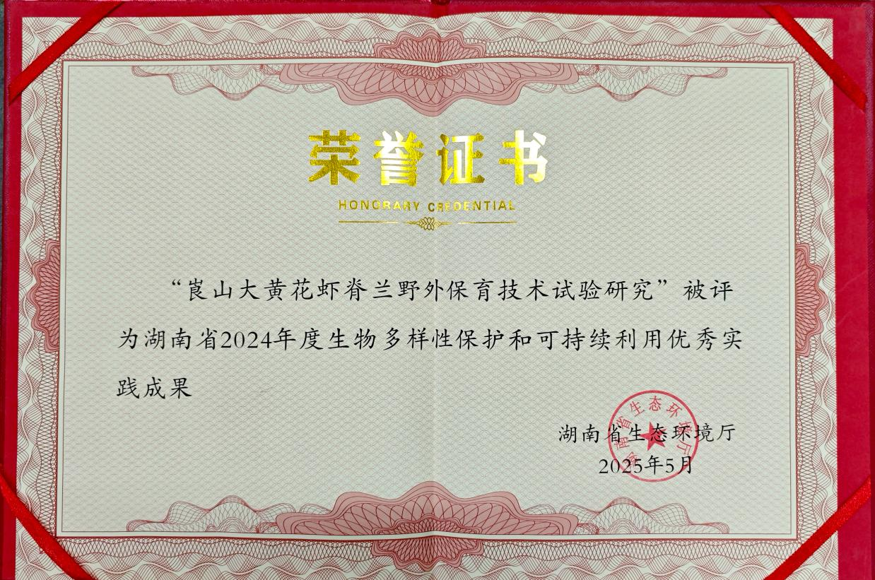 濒危“国宝兰”绽放新生 湖南崀山保育成果获省级表彰