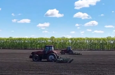 【新思想引领新征程】全方位提升粮食产能 夯实粮食安全根基