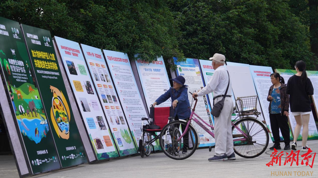 汉寿举行2025年世界环境日宣传活动