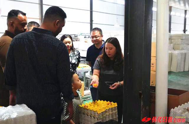 46万枚麻阳鲜鸡蛋发往吉布提，系湖南鲜鸡蛋首次出口非洲