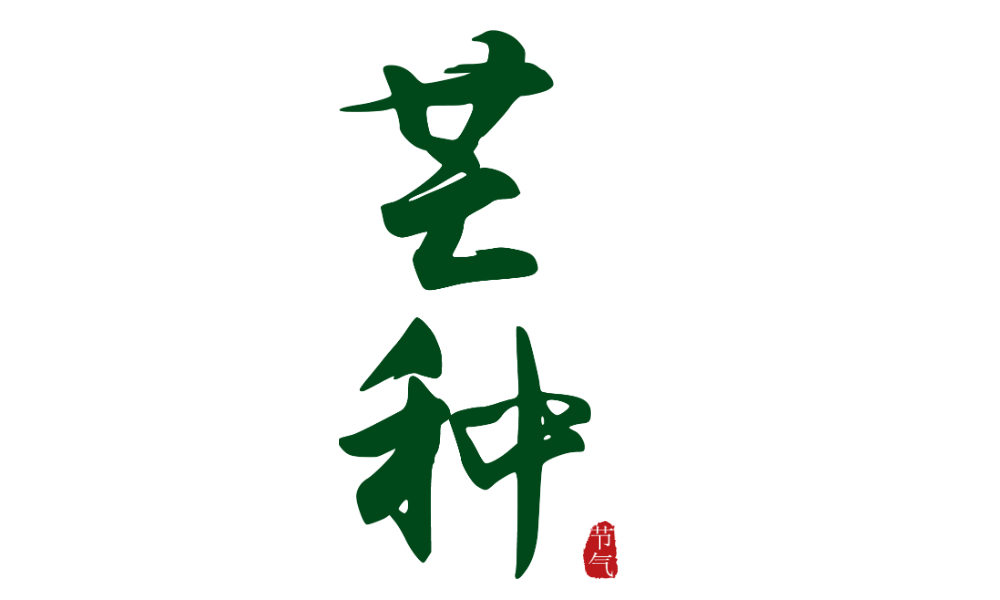 芒种时节|西红柿到了湖南人手里就是灶台上的胭脂