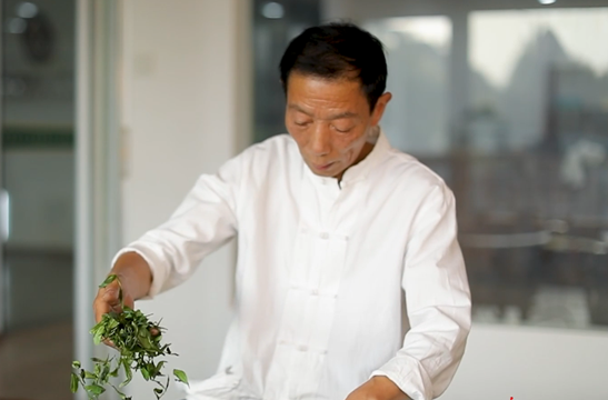 非遗焕新 生生不息丨用太极招式来炒茶！西湖龙井如何“撩”动全世界的心？