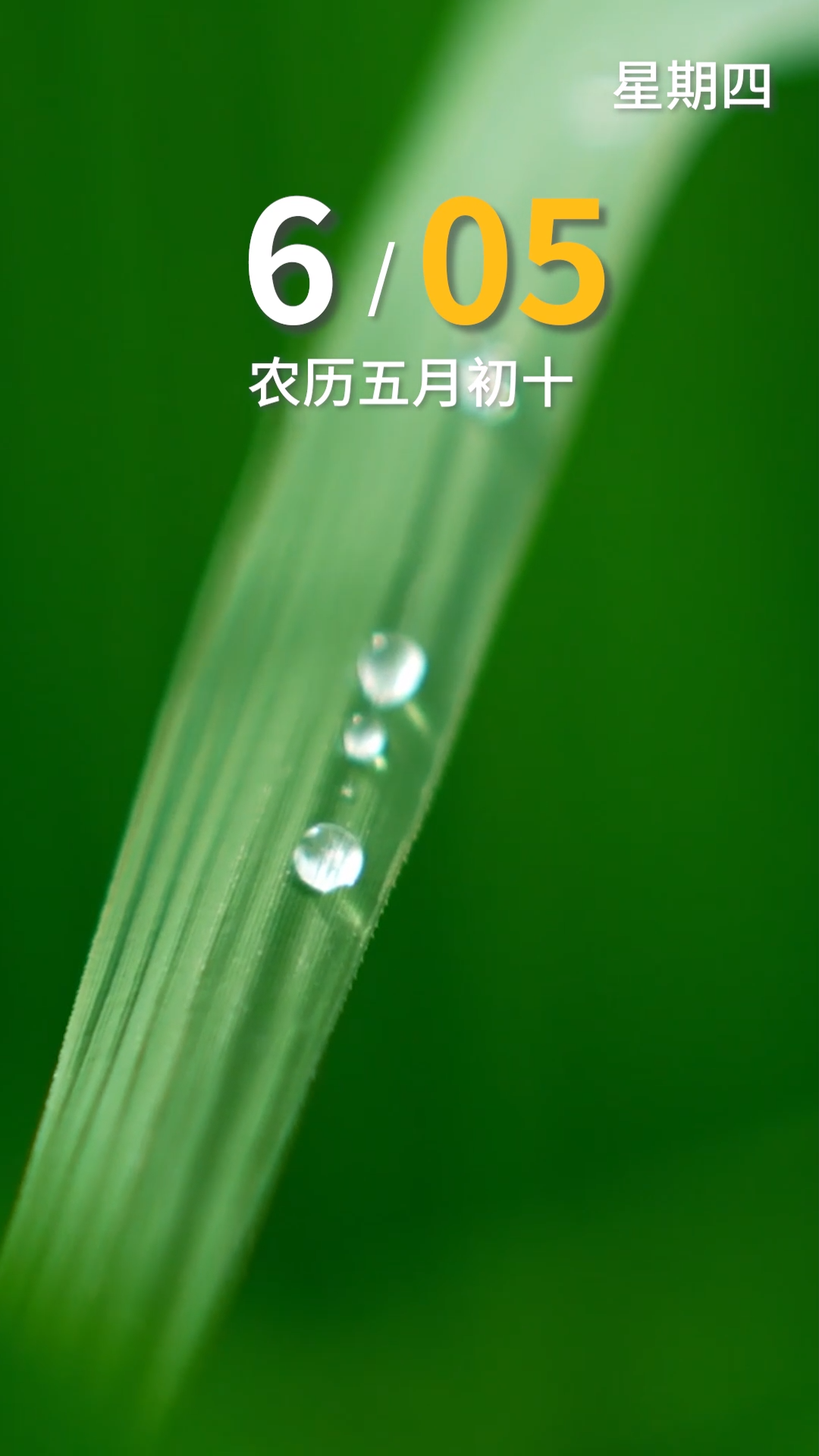 6月5日，早安！