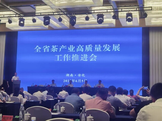 红茶出口量居全国首位 湖南茶产业潜力可期