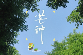 芒种的雨