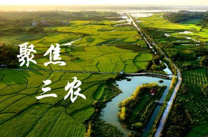 全面摸清“三农”家底 服务农业强国建设——国务院第四次全国农业普查领导小组办公室负责人答记者问