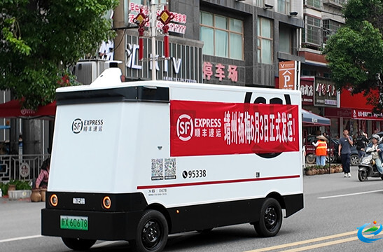 靖州杨梅正式开启冷链发运 直达全国200余个城市