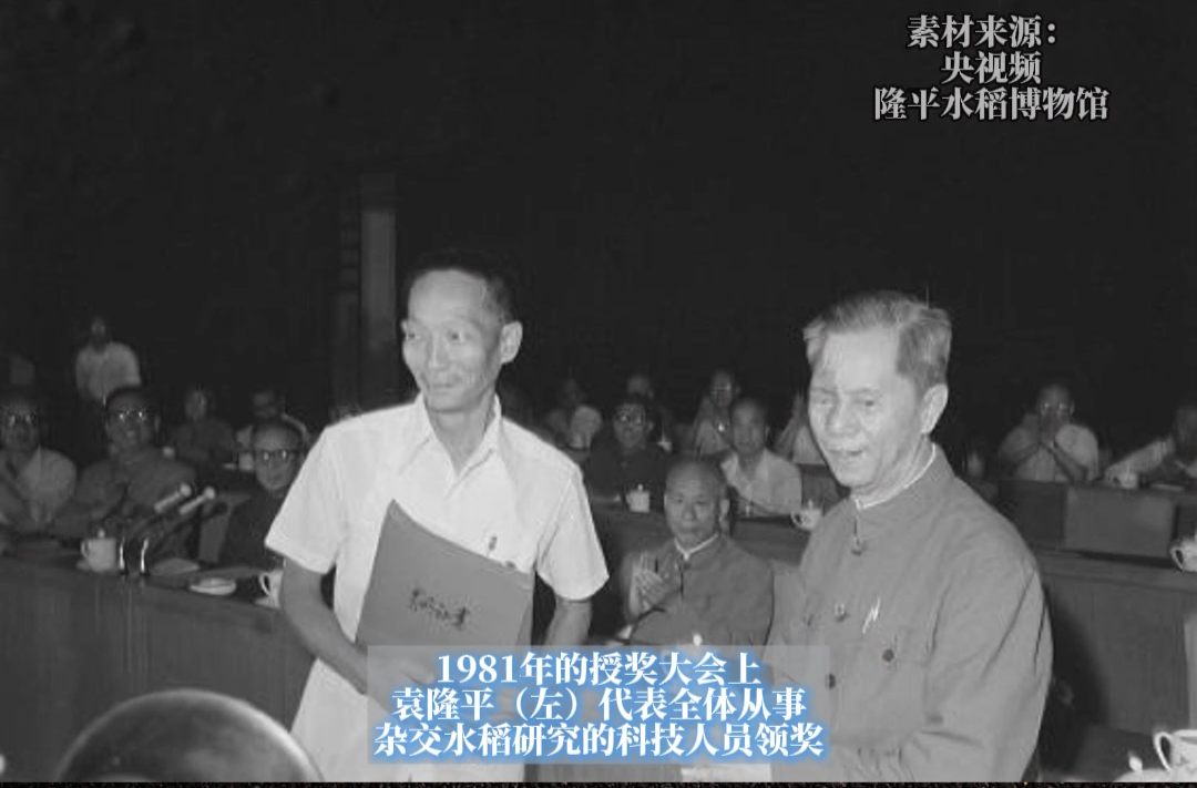 历史上的今天丨1981年6月6日，袁隆平荣获我国第一个特等发明奖